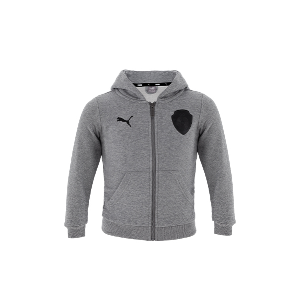 teamGOAL 23 Casuals Hooded Jacket Jr Med