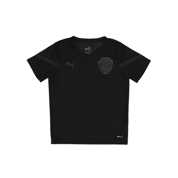 teamFLASH Jersey Jr Puma Black